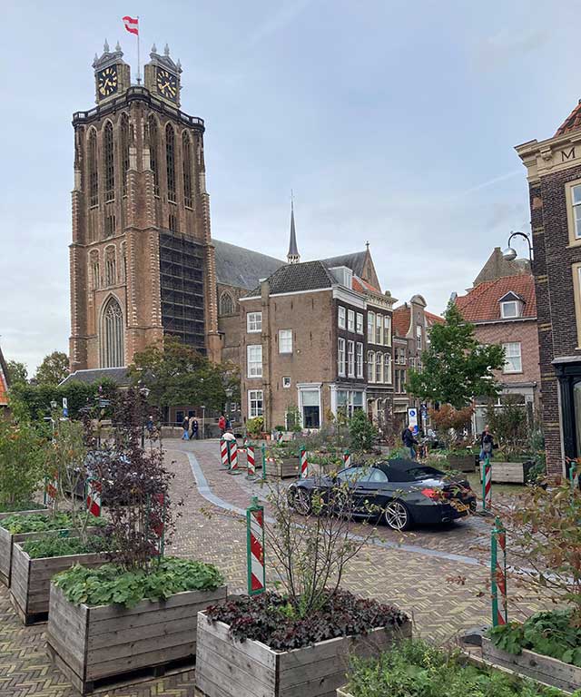Bewegend Bos Dordrecht bij de Leuvebrug