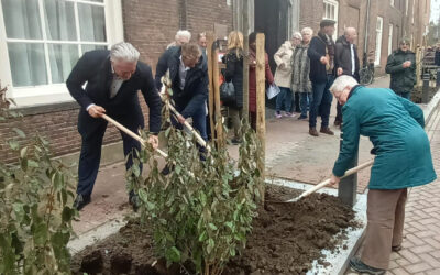 Bewegend bos in het AD