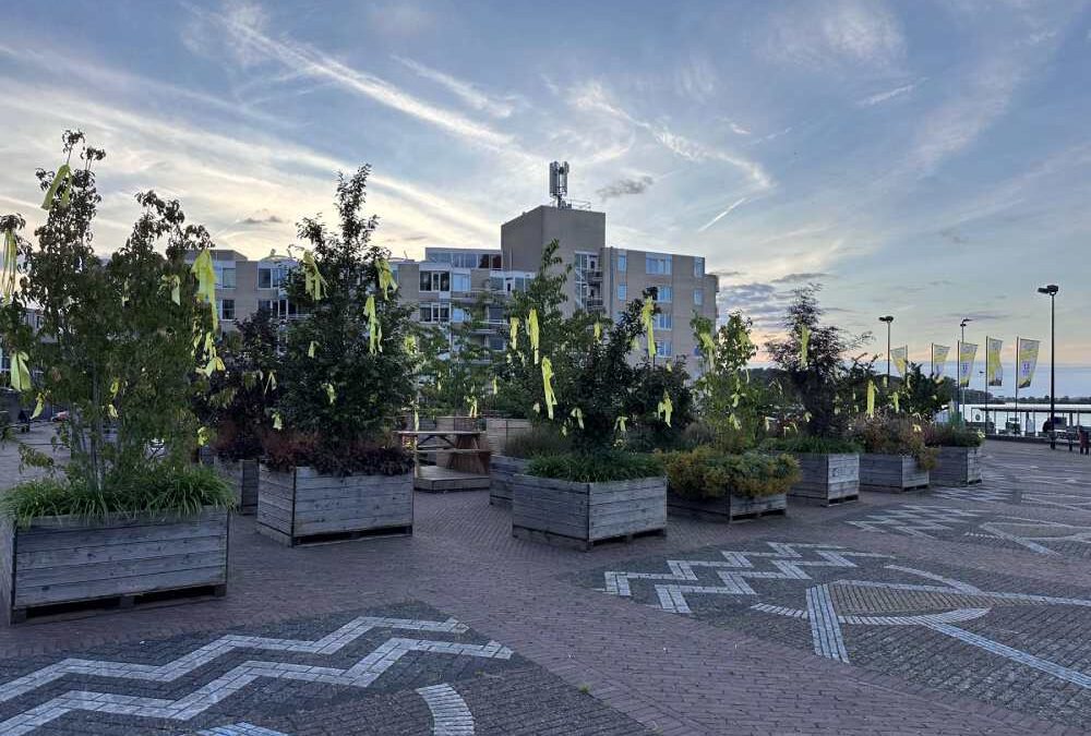 Bewegend Bos – Groene Impact in Beweging