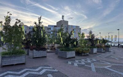 Bewegend Bos – Groene Impact in Beweging