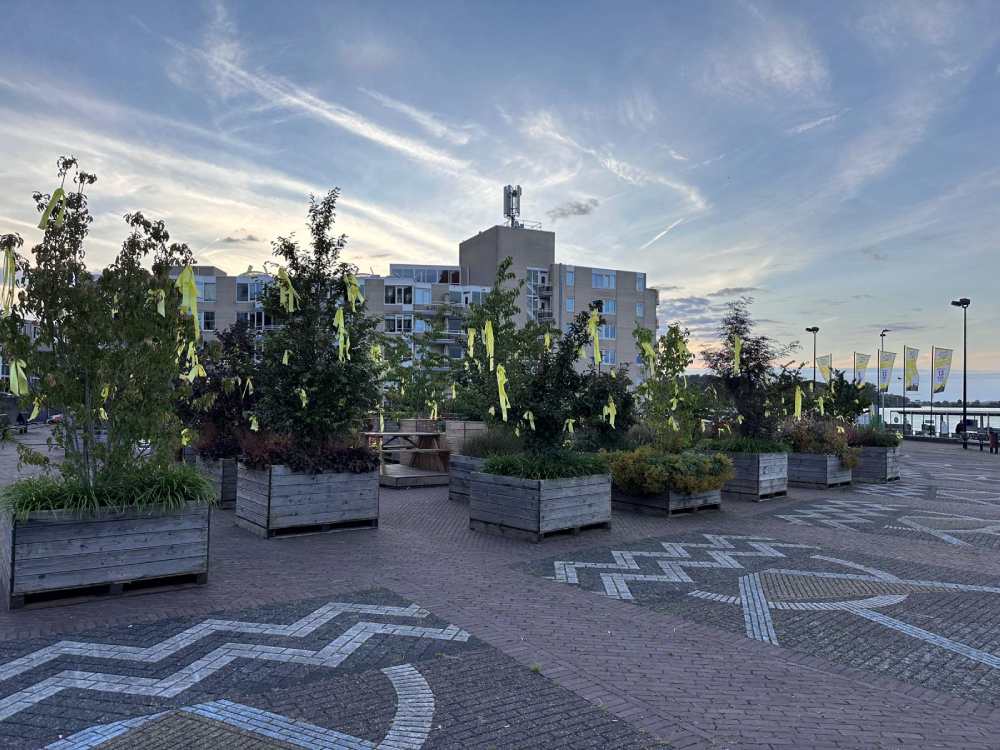 bewegend bos dordrecht - otto dickeplein