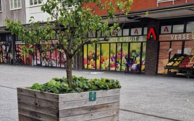 VvE Zilvervloot gaat voor vergroening