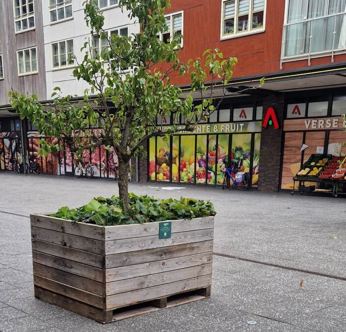 VvE Zilvervloot gaat voor vergroening