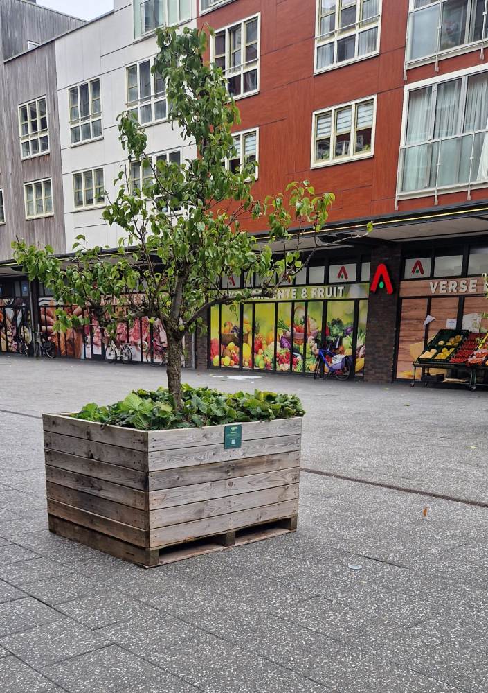 Bewegend bos en zilvervloot vve